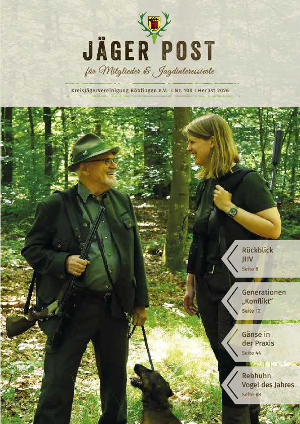 pdf-preview