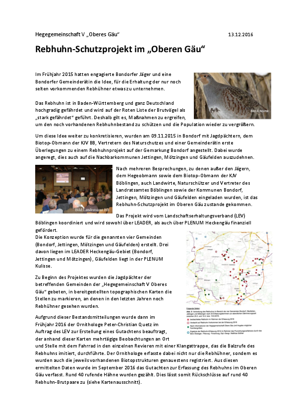 pdf-preview