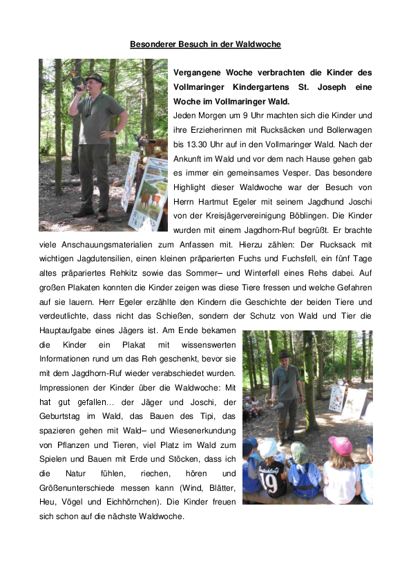 pdf-preview