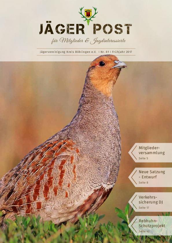 pdf-preview