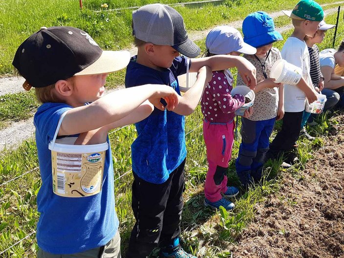 Kinder stehen in einer Reihe, halten Eimer und streuen Samen in einen Garten. Der sonnige Frühlingstag zeigt saftig grünes Gras im Hintergrund.