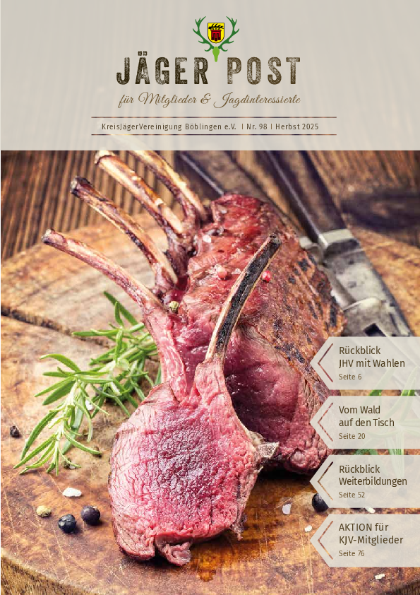 pdf-preview