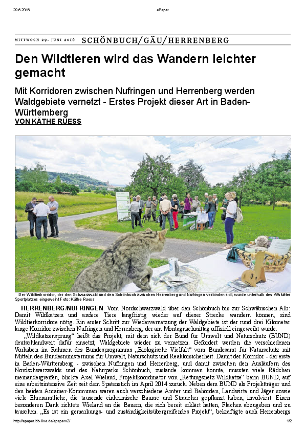 pdf-preview