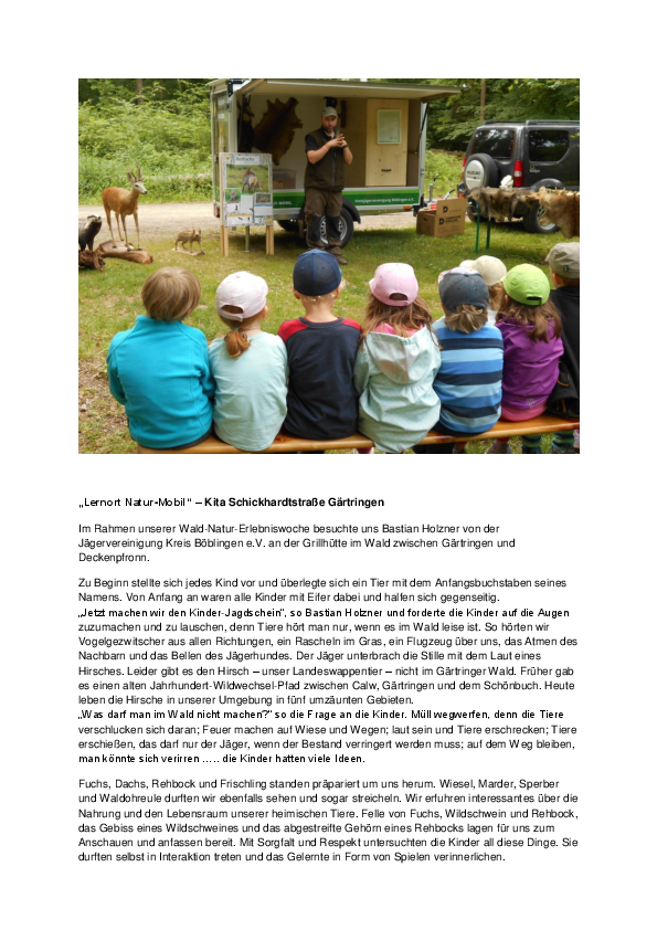 pdf-preview